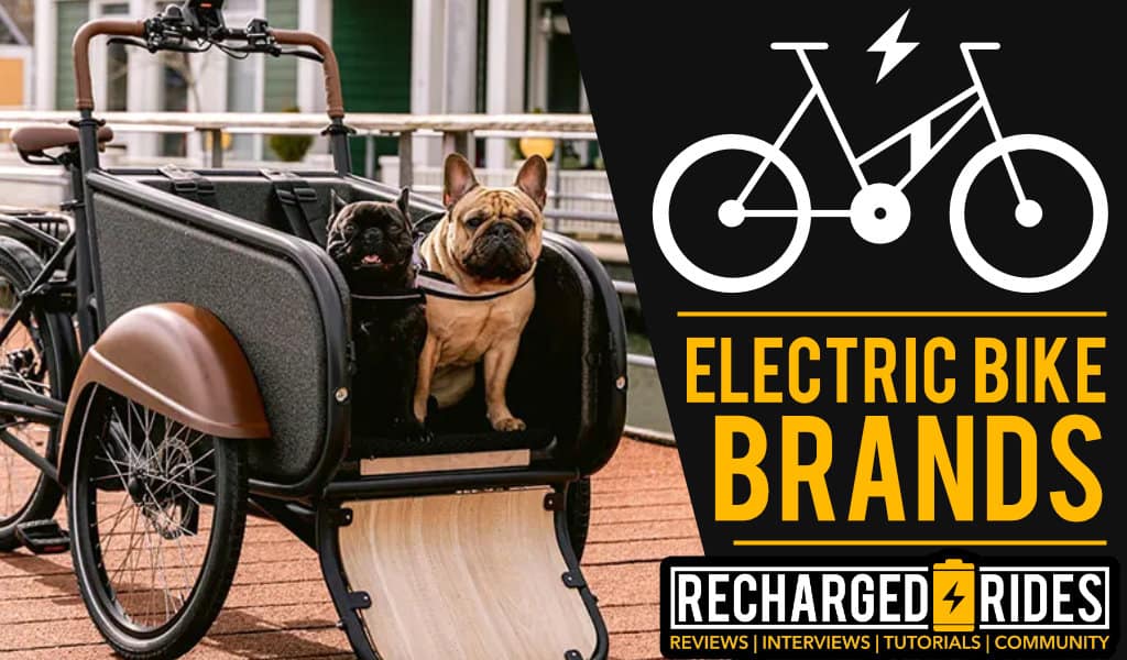 Best Electric Bike Brands
