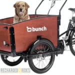 Dog in Bunch Bikes Original