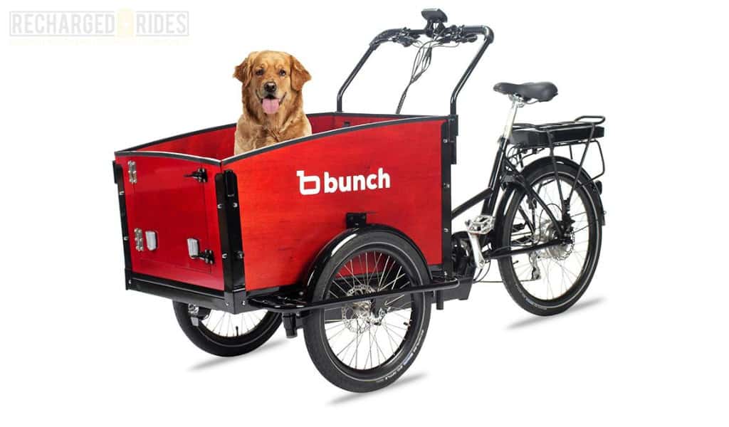 Best Electric Cargo Bike for Dogs