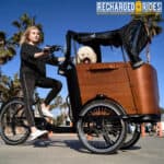 Dog in Ferla Cargo E-Bike