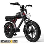 G-FORCE ZM Electric Bicycle