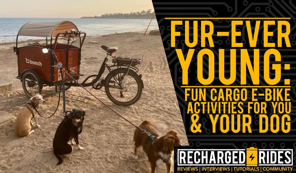 Cargo E-Bike Activities for Dogs